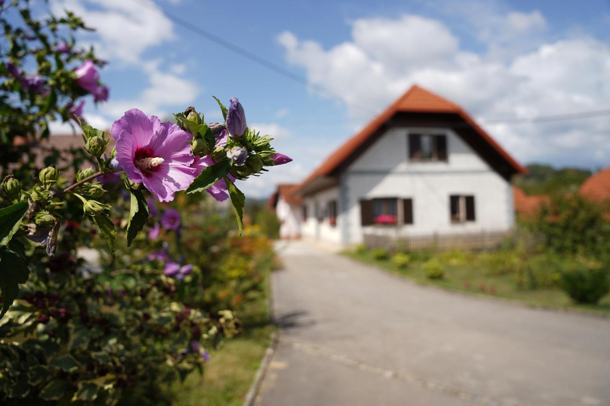 House Of Culture And Nature - Hisa Kulture In Nature Zagradec Eksteriør billede